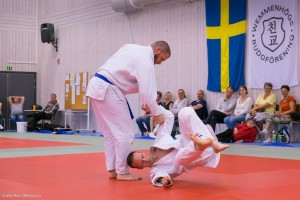 20160508 115 - Per Ottosson
